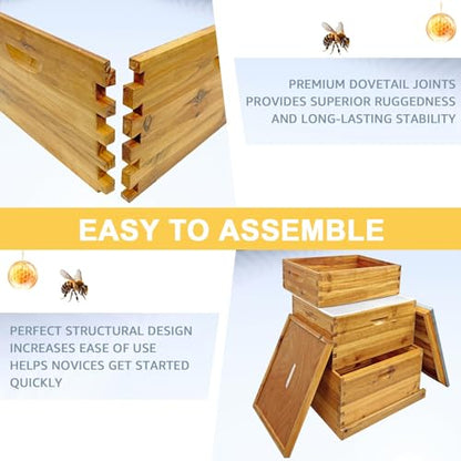 10 Frame Beehive Boxes, 3 Layer Langstroth Bee Hive Kit with 2 Deep Brood and 1 Medium Honey Super, 100% Beeswax Coated Wood Bee House, Professional Beekeeping Supplies - No Frames - size: 3 layer