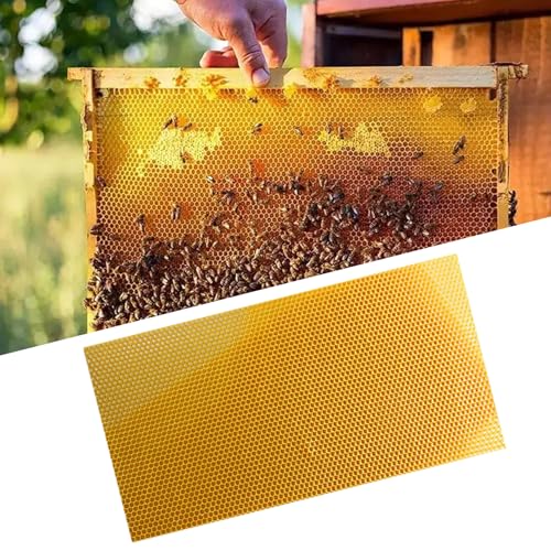 Beeswax Sheets 10Pcs 16.5x7.7in Natural Wax Foundation for Bee Frames Yellow Beeswax for Candle Making, Bee Hive Frames Beekeeping Supplies