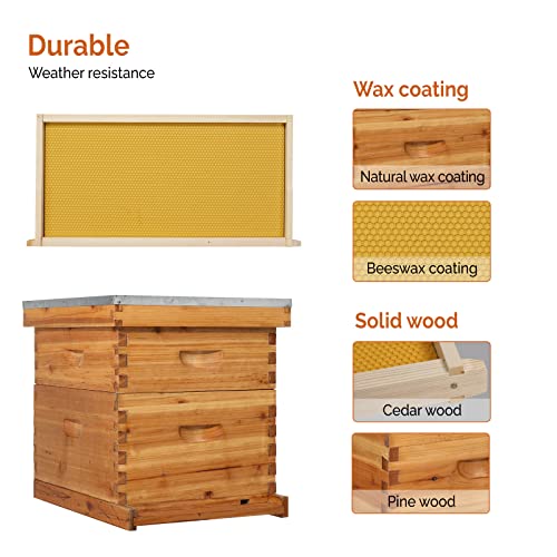 VINGLI 10 Frame Langstroth Beehive Starter Kit, Beeswax Coated 2 Layer Complete Bee Hive, 1 Deep Brood Box & 1 Medium Super Box with Frames and Waxed Foundations for Beekeepers - style: 2 Layer