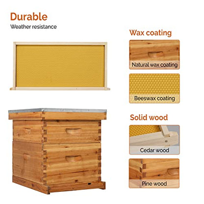 VINGLI 10 Frame Langstroth Beehive Starter Kit, Beeswax Coated 2 Layer Complete Bee Hive, 1 Deep Brood Box & 1 Medium Super Box with Frames and Waxed Foundations for Beekeepers - style: 2 Layer