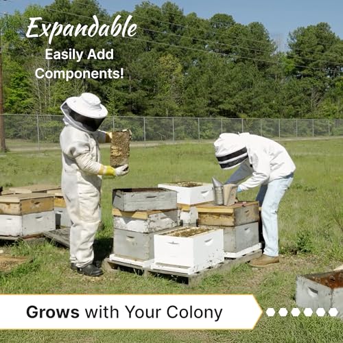 Mann Lake Traditional Complete Bee Hive Kit, 9⅝" Deep Hive Body with 10 Frames & Beeswax Coated Food-Grade Plastic Foundation, Weather Resistant Telescoping Cover & Bottom Board, Made in USA, Painted - color: Painted Hive Kit