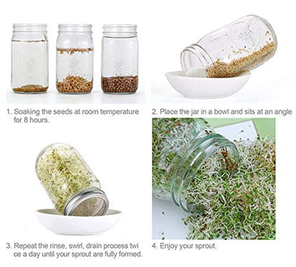 Sprouting Lids Sprouts Growing Kit for Wide Mouth Mason Jar Mesh Lid - 4 Pack Metal Fine Stainless Steel Screen Sprout Jars Lids Plant Seed Germination