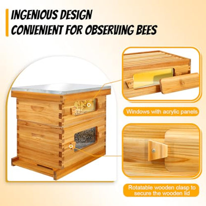Honey Lake 10 Frame Langstroth Beehive Starter Kit – Wax-Dipped Bee Hive with Viewing Windows, Deep Brood Box, Medium Super, Beehive Frames & Waxed Foundation Sheets - size: 2 Layers