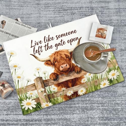 Highland Cow Dish Drying Mat, for Farmhouse Kitchen Counter Microfiber Absorbent, Funny Dish Draining Mat Extra Large 18"x24" - color: Highland Cow