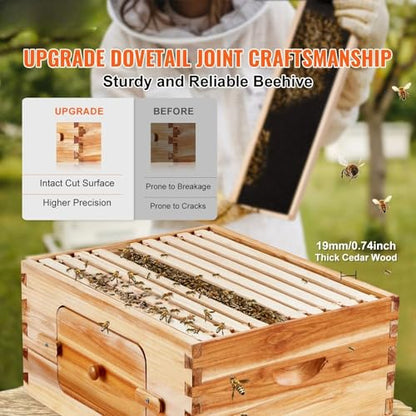 Bee Hive Deep Box Starter Kit, 100% Beeswax Coated Natural Cedar Wood, Langstroth Beehive Kit with 10 Frames and Foundations, Transparent Acrylic Bee Windows for Beginners and Pro Beekeepers