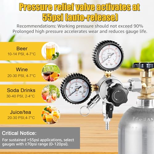 MRbrew 0-60PSI CGA-320 Keg CO2 Regulator with 5/16" Barbed Outlet | 0-3000 PSI Tank Pressure, Beer Regulator, Co2 Tank Pressure Regulator with Safety Pressure Relief Valve - size: One Output Barb - Mildly Carbonated