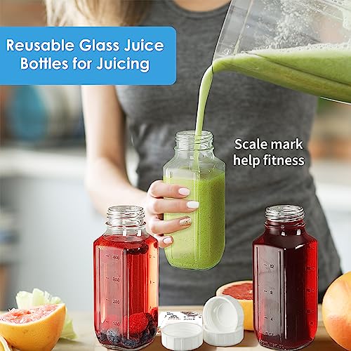 Syntic Glass Juice Bottles with Lids, 3 Pack Clear Glass Water Bottles w 2 Pour Spouts, 16 Oz Reusable Milk Jug w 100% Airtight Cap and Scale for Juicing Containers, Breast Milk Storage, Drinking Jar - style: 3 Pack