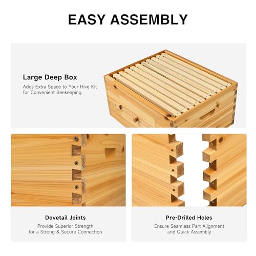 CREWORKS 10 Frame Bee Hive Box, Langstroth Beehive Deep Box with Frames & Foundations, Beeswax Coated Brood Bee Box for Bee Keeper, Beekeeping Supplies with Transparent Acrylic Window - style: 1 Layer