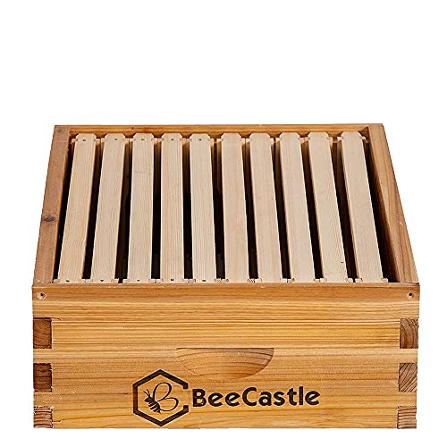 BeeCastle 10 Frame Medium Super Bee Hive Box, Langstroth Honey Bee Hive Dipped in 100% Beeswax Include Beehive Frames and Wax Foundations (Unassembled) - size: 10-Frame