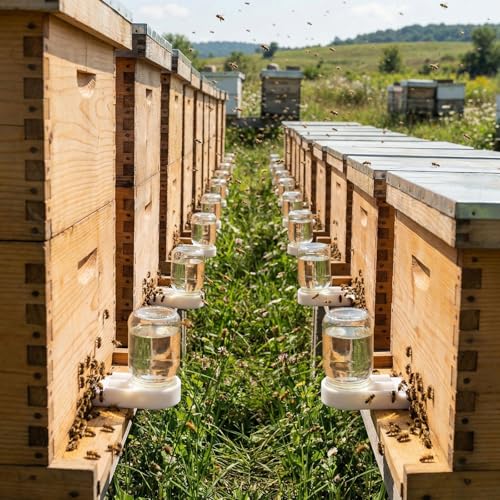 AukBeeFun 6 Pack Bee Feeders for Hives,Leak-Proof Mason Jar Sugar Bee Hive Feeder for Professional or Beginner Beekeepers