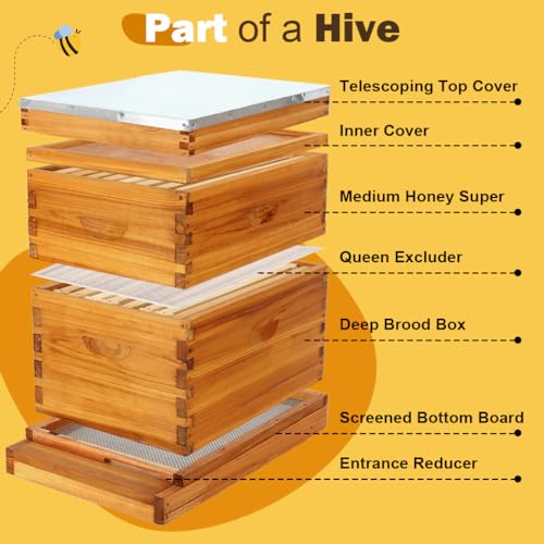 8 Frame Beehive Kit with Screened Bottom Board Dipped in Heavy Beeswax Bee Hive Boxes Starter Kit for Bee Keekeepers - Langstroth Beehive Kit with 2 Honey Bee Hives Boxes