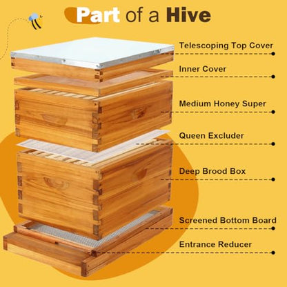 8 Frame Beehive Kit with Screened Bottom Board Dipped in Heavy Beeswax Bee Hive Boxes Starter Kit for Bee Keekeepers - Langstroth Beehive Kit with 2 Honey Bee Hives Boxes