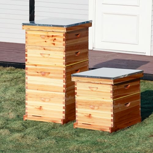 Bee Hive Box with Observation Window, 10 Frame Beeswax Coated Bee Hive Starter Kit for Beginners Beekeepers,2 Deep Box & 1 Medium Boxes - size: 3 Layer