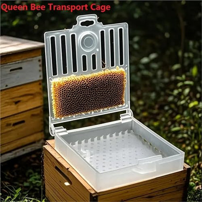 Queen Bee Cage 15pcs Queen Bee Post Cage Transparent Queen Bee Transport Cage Move Transmit Mail Box Catcher Beekeeping Supplies for Beekeeping Supplies