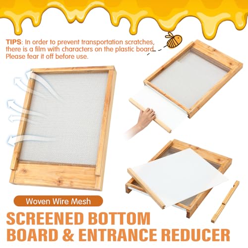Beeveer 3 Pcs Beehive Screened Bottom Board with Entrance Reducer and Wooden Frame Metal Queen Excluder for Langstroth 10 Frame Bee Hive Bee Beekeeping Supplies - style: Wooden Frame