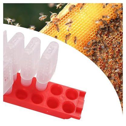 Queen Bee Cage Queen King Cage Transport Bar Free-Moving Insect Plastic Prisoner Beekeeping Farm Protection Beekeeping Tools Supplie for Beekeeping Supplies