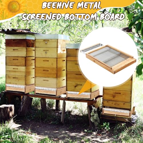 DoubleFill 3 Pcs 8 Frame Beehive Metal Screened Bottom Board Dipped in Beeswax with Entrance Reducer Beeswax Wood Screened Bottom Board for Beekeeping Supplies - size: 8 Frame