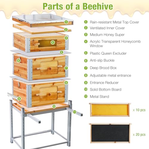 GUTINNEEN Bee Hive with Metal Frame and Stand, 10-Frame Bee Box Langstroth Beehive Dipped in 100% Beeswax,Easy Assemble Flow Hive Box Includes Wooden Frames & Waxed Foundations