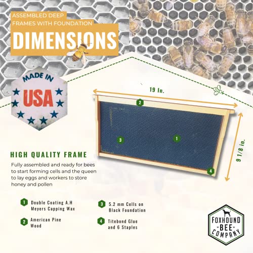 Foxhound Bee Company - Made in USA - Fully Assembled Deep Beekeeping Frames with Double Wax Beeswax Coated Plastic Foundation - 20 Pack - style: Deep - 20 pack
