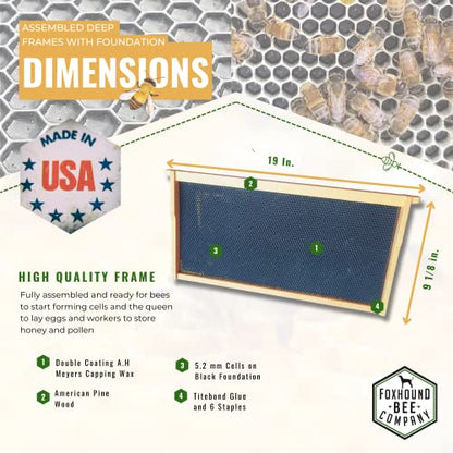 Foxhound Bee Company - Made in USA - Fully Assembled Deep Beekeeping Frames with Double Wax Beeswax Coated Plastic Foundation - 20 Pack - style: Deep - 20 pack