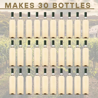 Master Vintner - Beginner Weekday Wine Making Kit - Pinot Grigio - color: Pintor Grigio