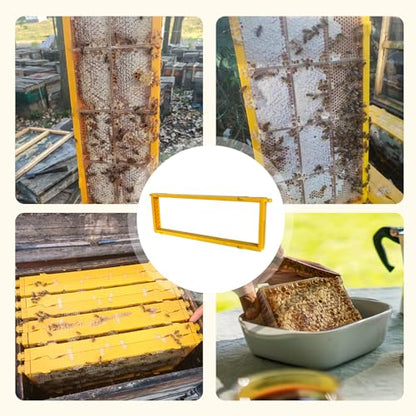 5 Pack Durable Plastic Beehive Frames | 3-in-1 Design for Wires/Wax Foundations/Honeycomb Cassettes, Fits 8/10 Frame Hives (19"×9")