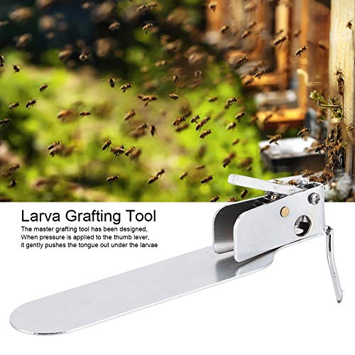Stainless Steel Screwdriver, Magnetic Screwdriver,Beekeeping Grafting Needle | Stainless Steel Larva Transfer Tool | Single - End Shift Pin for Bee Larva Transfer | Includes Screwdriver & Spare Parts