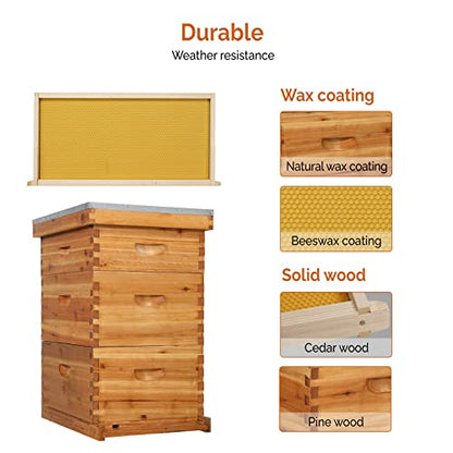 VINGLI 10-Frame Bee Hive, Wax Coated Beehive Starter Kit with Frames & Beeswax Coated Foundation Sheets (3 Layer) - style: 3 Layer