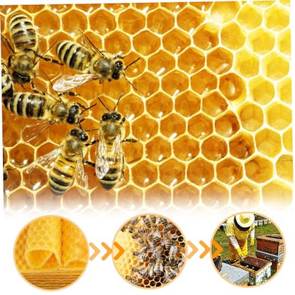 Beeswax Sheets For Candle Making,Beeswax Sheets 30Pcs Beeswax Foundation Sheets 5.2x3.5'' Wax Foundation for Bee Frames Natural Honeycomb Sheets Beeswax Sheets for Candle Making Beekeeping Supplies