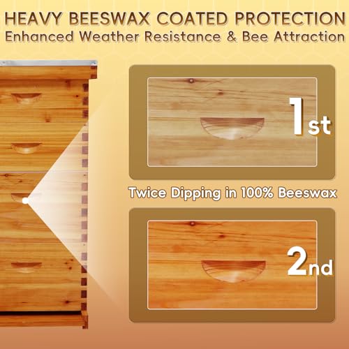10-Frame Langstroth Beeswax Coated Bee Hive Includes 2 Deep Hive Boxes and 2 Super Bee Boxes with Beehive Frames and Foundations (4 Layer)