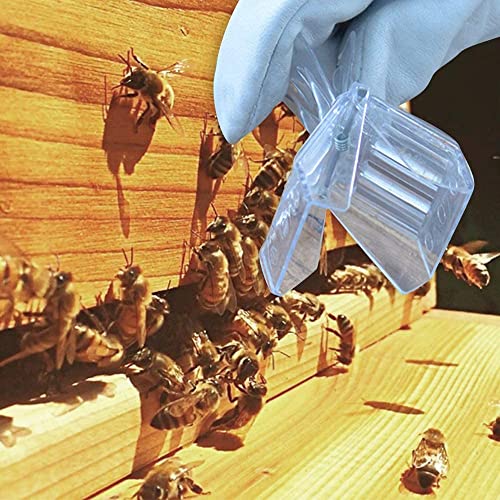 12 Pack Bee Queen Cage Catcher Clips Transparent Plastic Bee Queen Clips Beekeeping kit (12 Pack)