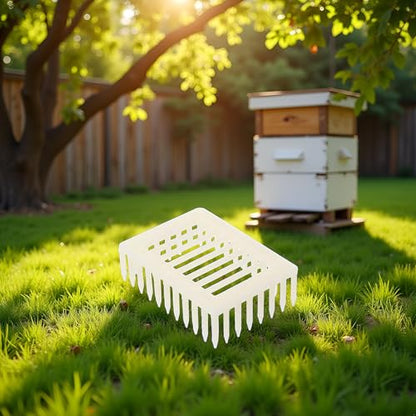 White Queen Marker Cage Clip Bee Plastic Catcher Beekeeper Beekeeping Tools Equipment Plastic Queen Marker Cage Clip Bee Catcher Beekeeper Beekeeping Tools Equipment Beekeeping Supplies