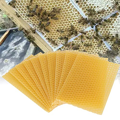 10Pcs Beeswax Strips, 5.1x3.5in Wax Sheet, Beeswax Sheets, Bee Honey Sheets for DIY Candle Making Furniture Floor Polishing