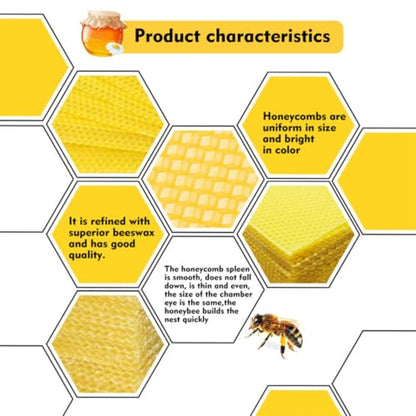 10pcs Natural Beeswax Beehive Foundation Sheets for Beekeeping Operation, Honeycomb Foundation Beeswax Helping to Lay Eggs Faster and Support Hive Growth