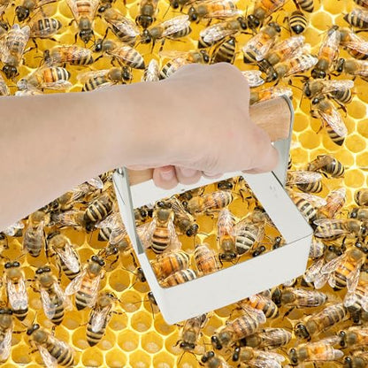 Square Honeycomb Cutter Stainless Steel Honey Cutting Tool Wooden Handle Beekeeping Supplies for Hive Cutting and Honeycomb Shaping