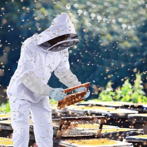 HAOZAIKEJI Professional Beekeeper Jacket Pull Over Beekeeping Suit Breathable Beekeeper Protective Clothing with Veil Hood for Beginner and Professionals - color: White