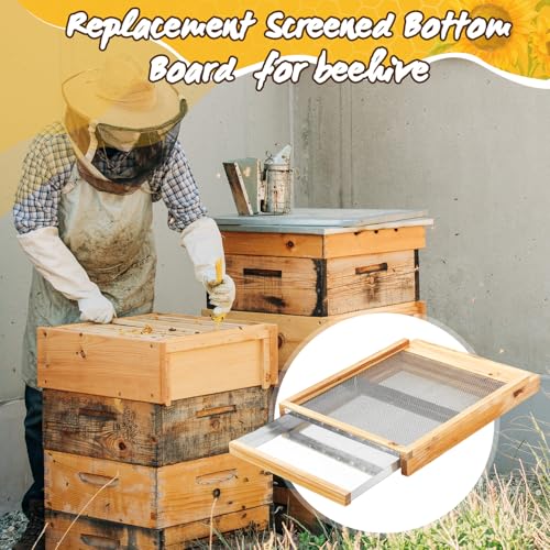DoubleFill 3 Pcs 10 Frame Beehive Metal Screened Bottom Board Dipped in Beeswax with Entrance Reducer Beeswax Wood Screened Bottom Board Beekeeping Supplies Apiary Needs - size: 10 Frame