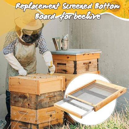 DoubleFill 3 Pcs 10 Frame Beehive Metal Screened Bottom Board Dipped in Beeswax with Entrance Reducer Beeswax Wood Screened Bottom Board Beekeeping Supplies Apiary Needs - size: 10 Frame