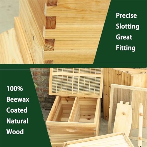 Beehive Starter Kit, Bee Hive Box with Observation Windows, Automatic Self-Flowing Complete Honey Bee Hive, Complete Beekeeping Wooden Bee Box for Beekeeper Beekeeping Equipment