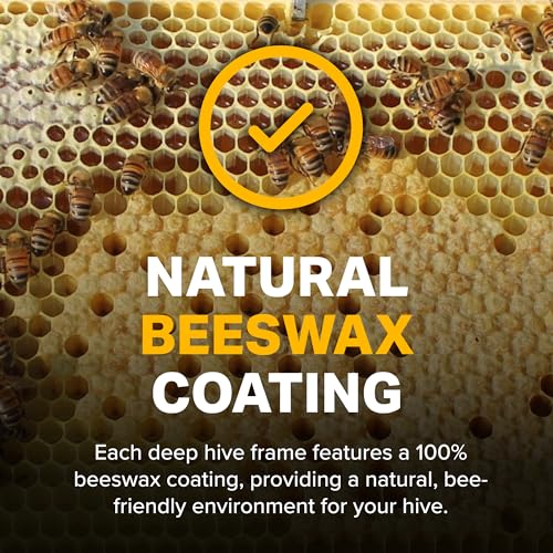 Mann Lake Premium Beekeeping Frames, All-in-One Frame & Foundation, Beeswax Coating, Universal Fit, BPA & BPS Free, 9 1/8 Inches, Natural, 10-Pack - color: Natural