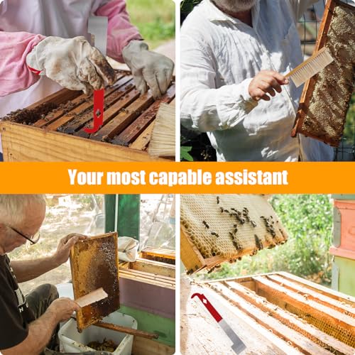 PEUTIER 2pcs Bee Hive Brush and Bee Hive Scraper Set, Metal J Hook Bee Hive Tool Hive Frame Lifter Gripper Bee Brush with Wooden Handle Beekeeping Supplies Equipment for Bee Keepers