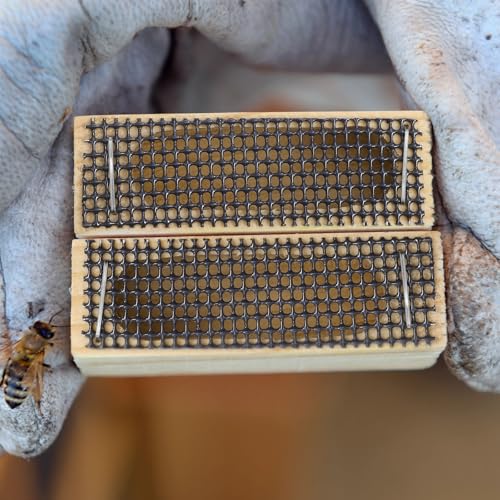 Homoyoyo 5pcs Cage Plastic Beekeeping Accessory Khaki Color for Queen Rearing and Hive Transport