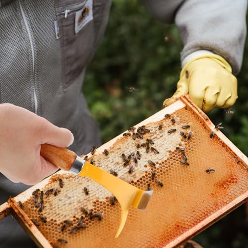 CHILDWEET Portable Beekeeping Scraper Tool Wood Handle and Stainless Steel Blade, Sturdy Hive Frame Scraper for Beehive Cleaning, for Beginner Beekeepers and Professional Use Random Color
