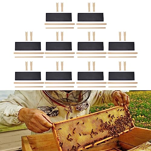 10 Set Beehive Frames and Wax Foundations, Beehive Waxed Coated Foundation Sheet with Pine Wood Frame for Bee Production and Harvesting