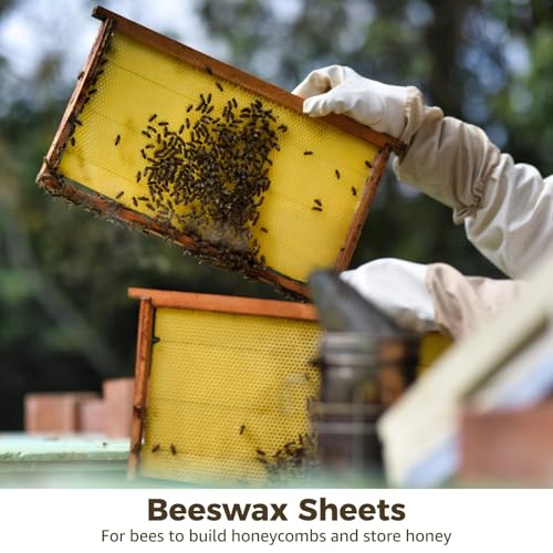 30 Pure Beeswax Sheets, Natural Wax Foundations 16.3 X 7.7 in for Candle Making & Beekeeping, Sweet Scent, Easy to Roll