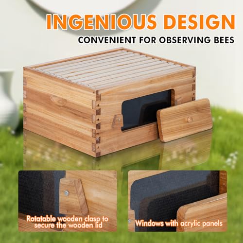 Honey Lake 10 Frame Beehive Deep Brood Box with Window, Langstroth Bee Hive Box Kit Dipped in Beeswax Include Wooden Frames & Waxed Foundations, Bee Boxes for Beekeeping Supplement (Unassembled) - size: 10-Frame