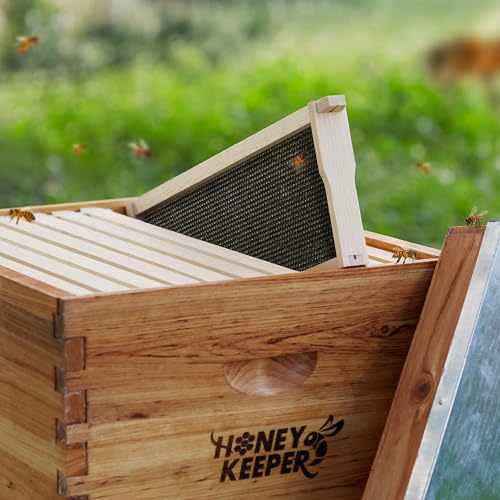 Honey Keeper 6" Bee Frame Foundations - Beeswax Coated Black Foundation Sheets for Medium Super Beehives, 10 Pack