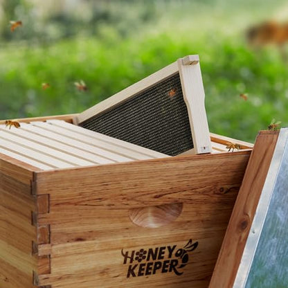 Honey Keeper 6" Bee Frame Foundations - Beeswax Coated Black Foundation Sheets for Medium Super Beehives, 10 Pack