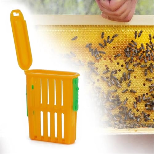 Queen Bee Cage 80Pcs Queen Bee Cage Rearing Tools Beekeeping Equipment Breeding Beekeeper Supplies Transport Plastic Cup for Beekeeping Supplies