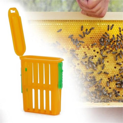 Queen Bee Cage 80Pcs Queen Bee Cage Rearing Tools Beekeeping Equipment Breeding Beekeeper Supplies Transport Plastic Cup for Beekeeping Supplies